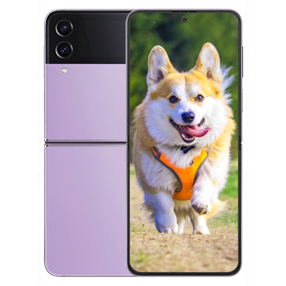 갤럭시 Z<b>플립</b><b>4</b> 5G 512GB 새제품 미개봉 Galaxy Z Flip<b>4</b>
