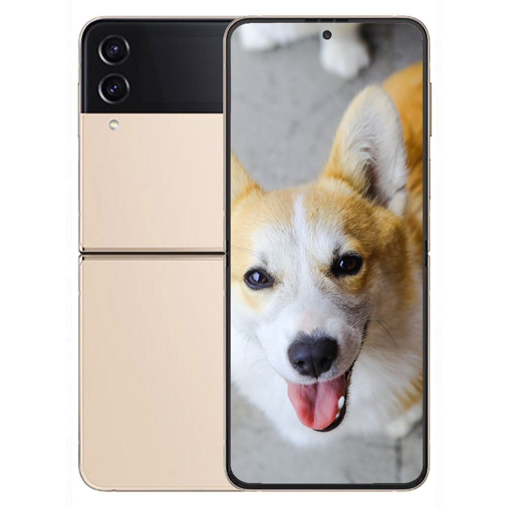 갤럭시 Z<b>플립</b><b>4</b> 256GB 5G 새상품 미개봉 Galaxy Z Flip<b>4</b>