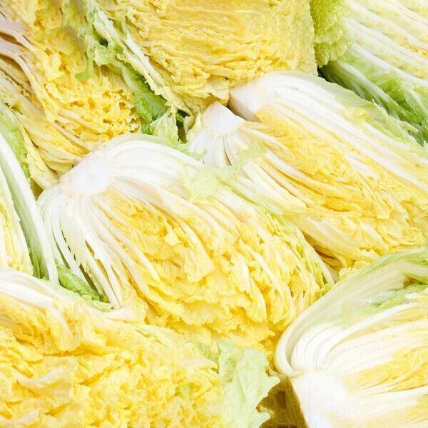 (미식한가) HACCP 잘절여진 해남 절임배추 20kg(7포기~10포기) 제주도 배송 불가 / 예약발송