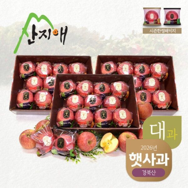 산지애 햇사과 9kg (3kg3박스 총 24~36과 대과)