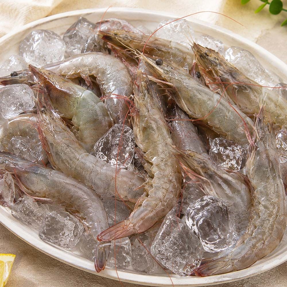 신안 활 흰다리새우 1KG 29미내외
