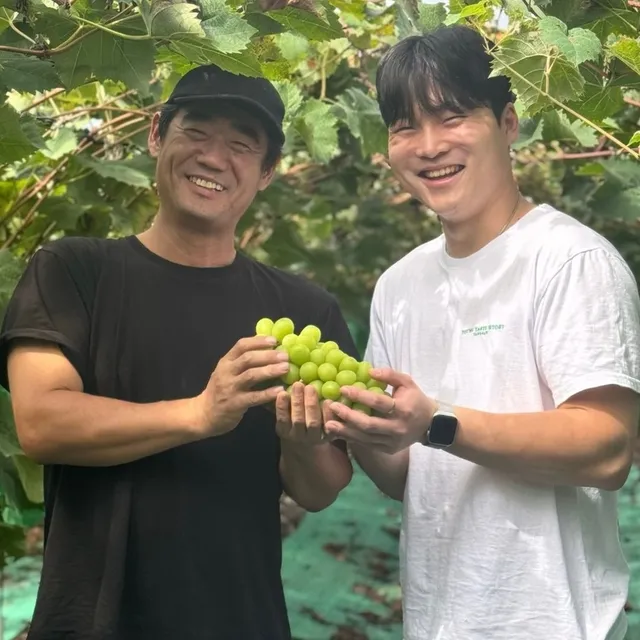 산지직송 특품 샤인머스켓 평균 18브릭스 2kg, 4kg 중량선택