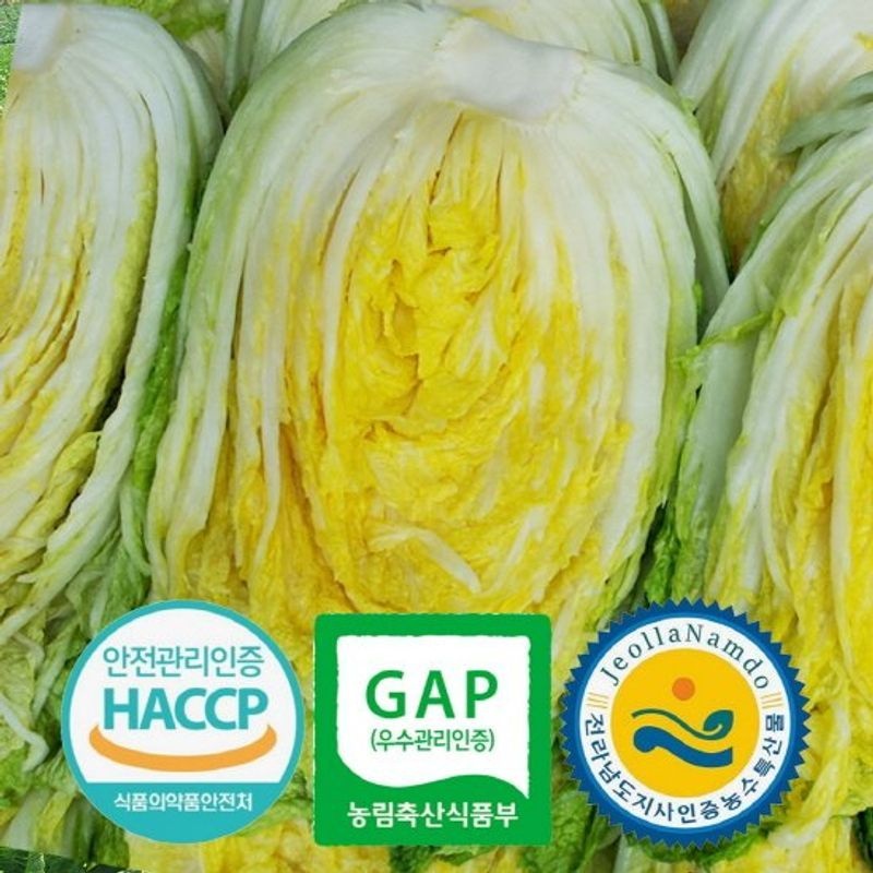 TB텃밭 HACCP 전남도지사인증 해남 절임배추 20kg