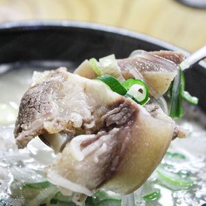 한우사골도가니탕 500g 5팩