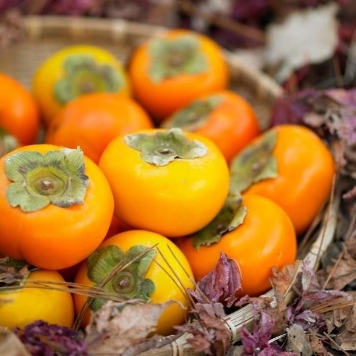 단감 10kg 소 71-80과내외  부유 진영 상서 차량