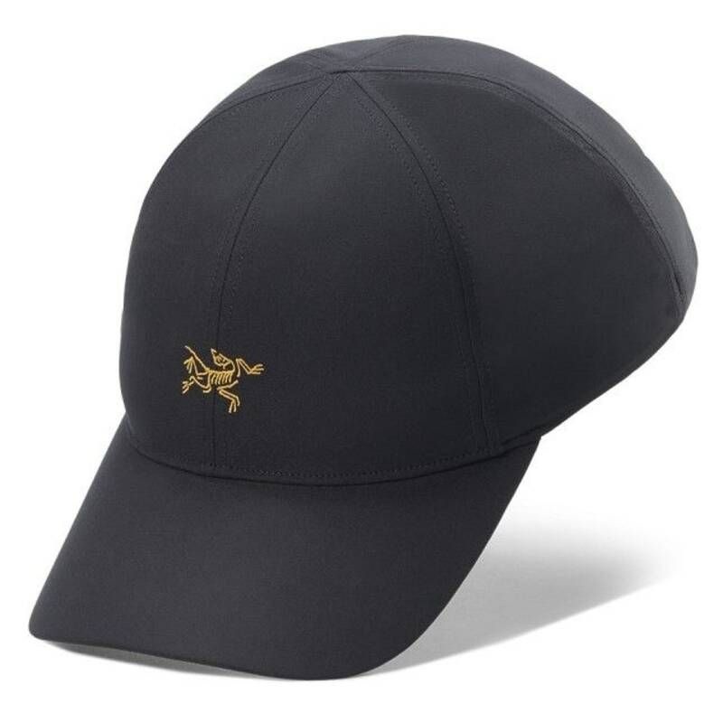 [백화점 정품] 아크테릭스 25SS [공식판매처]25FW 스몰 버드 캡 AEPFU09782