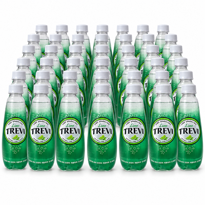 롯데칠성음료 트레비 라임 300ml, 40개 탄산수 에이드