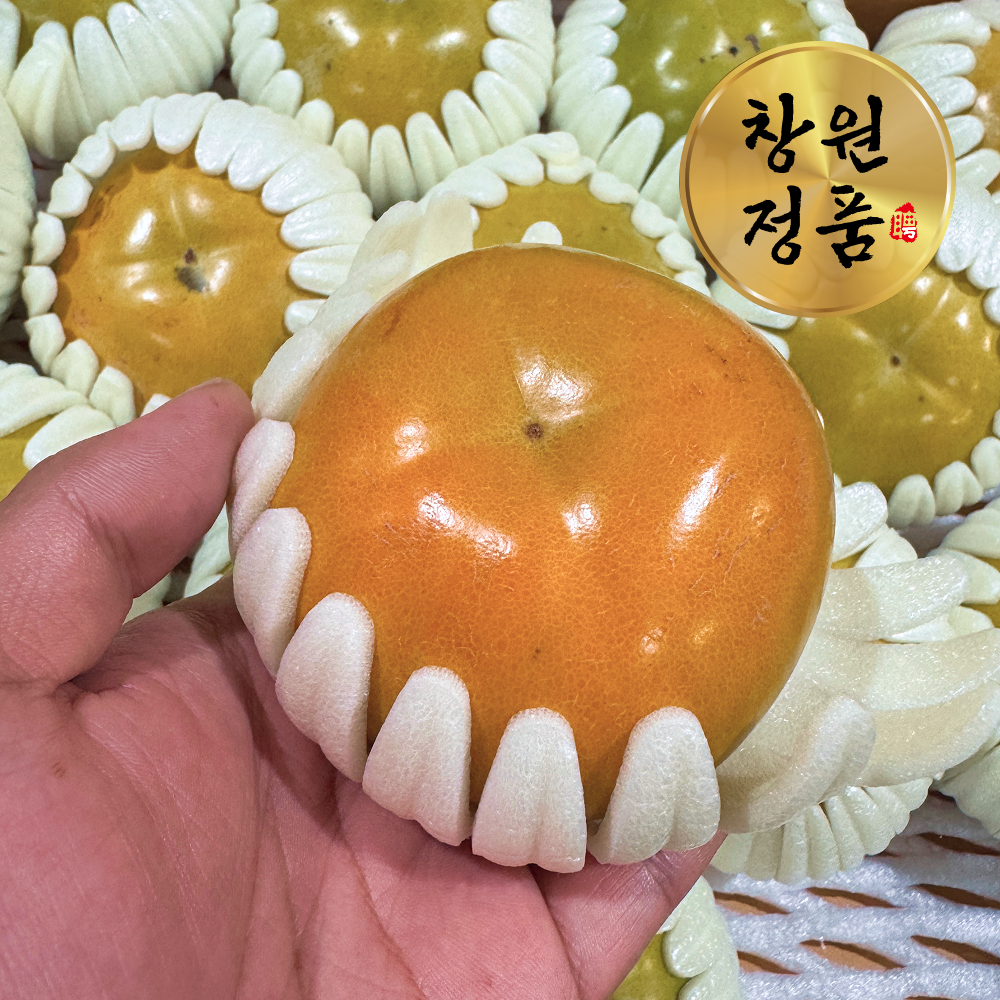 [온누리상품] [당도보장] 창원 태추단감 로얄과 2kg/3kg/5kg