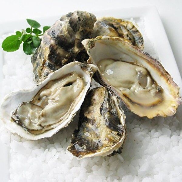 산해직송협력사 [산해직송][산해직송] 통영 거제 석화 각굴 3kg