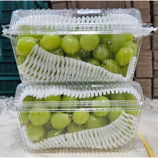 명품남매농장 저탄소 GAP 샤인머스켓 알알이팩, 2kg, 3kg, 4kg