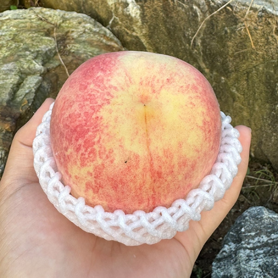 가산프레시 국내산 설아<b>복숭아</b> 1kg