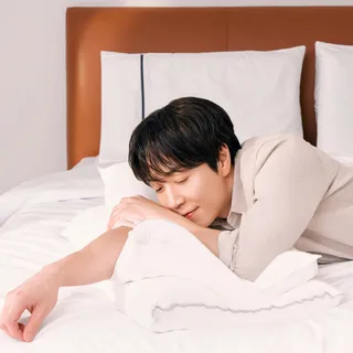 돌레란 [플리에x돌레란] 밸런스 메모리폼 경추 베개 (로우/미디움)