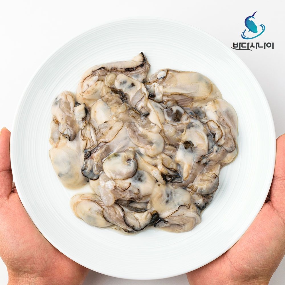 [바다사나이]2026년 제철 생굴 출하 통영 최상급 생굴 1kg [원산지:국산(경상남도 통영시)]