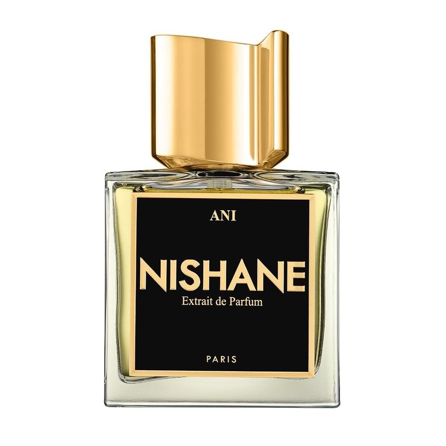 니샤네 [해외] 니샤네 NISHANE 아니 ANI 엑스트레 드 퍼퓸 100ml
