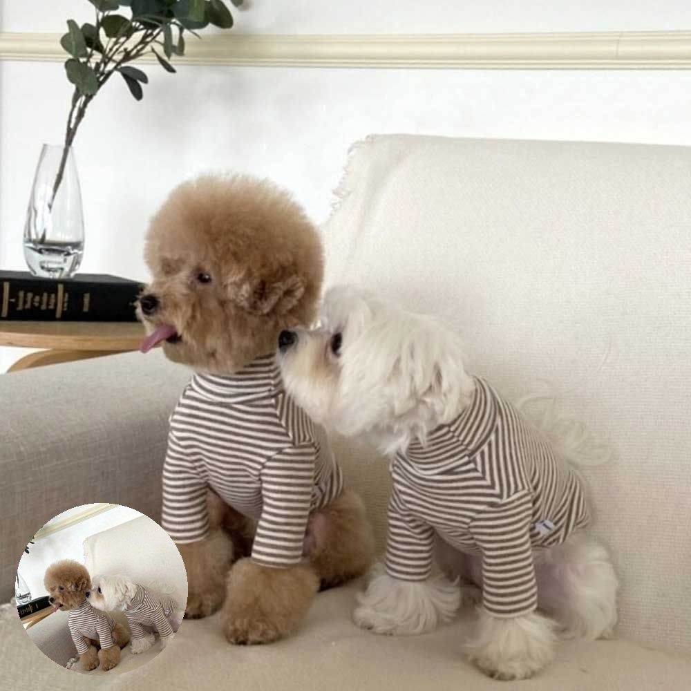 [삼렌콩] 반려견 줄무늬 목폴라 강아지의류코디 봄가을겨울외출옷패션 강아지티셔츠스타일 강아지목폴라 반려