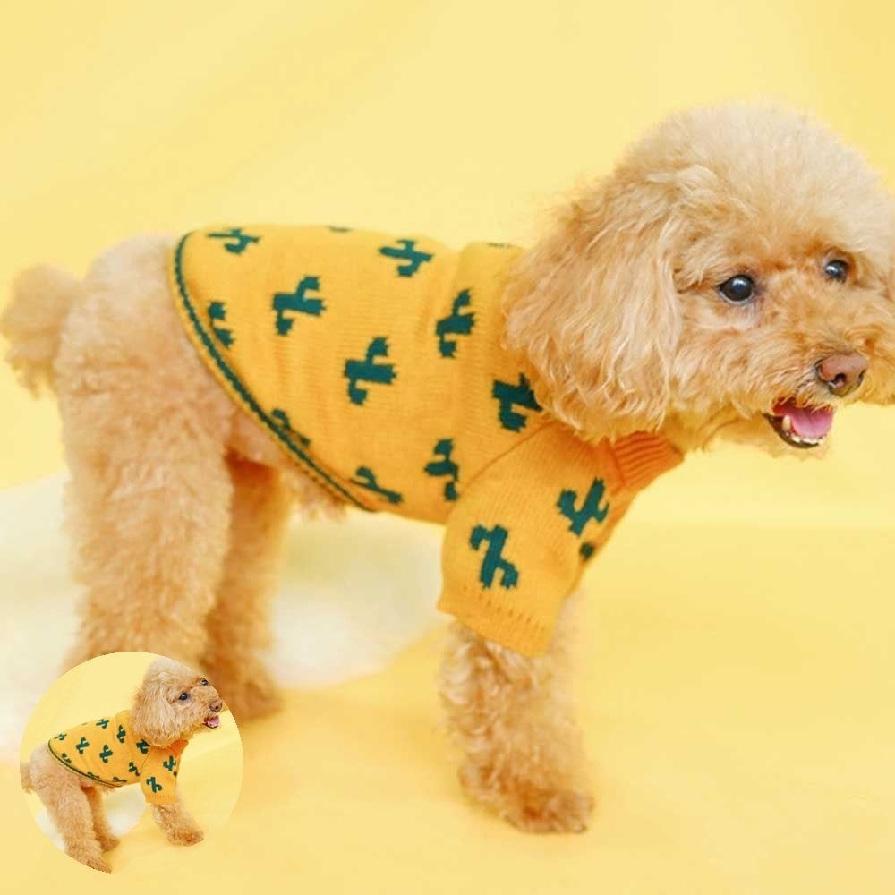 [삼렌콩] 강아지 선인장 패턴 사계절 니트 귀여운강아지옷 강아지베이직니트티 강아지애견사계절옷 데일리강아
