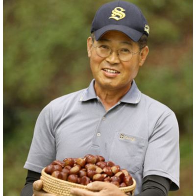 공주알밤 : 롯데ON 공주알밤 : 롯데On