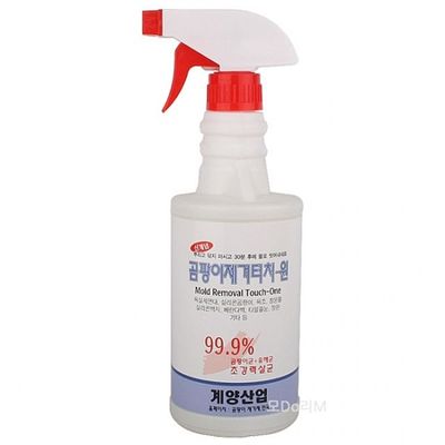 곰팡 : 롯데ON 곰팡 : 롯데On