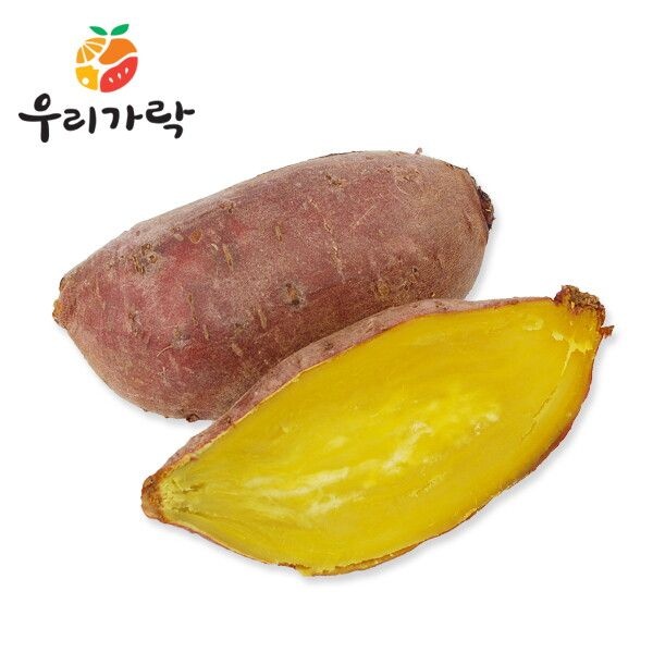 [우리가락] 밤고구마(상중) 10kg : 롯데ON