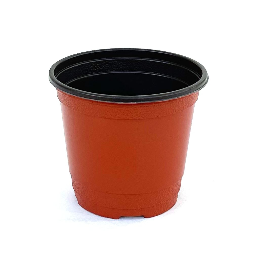 [케이-미디어플러스]왁스콜렉션 이색포트(황토)100 비닐포트 화분 모종 분갈이흙 플라스틱화분