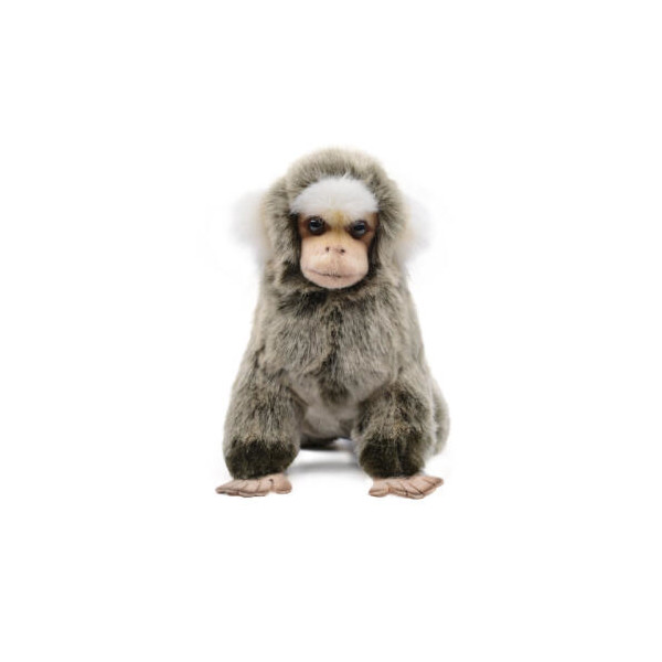 [아트박스] /한사토이 7474 흰귀마모셋 원숭이인형 19cm.L