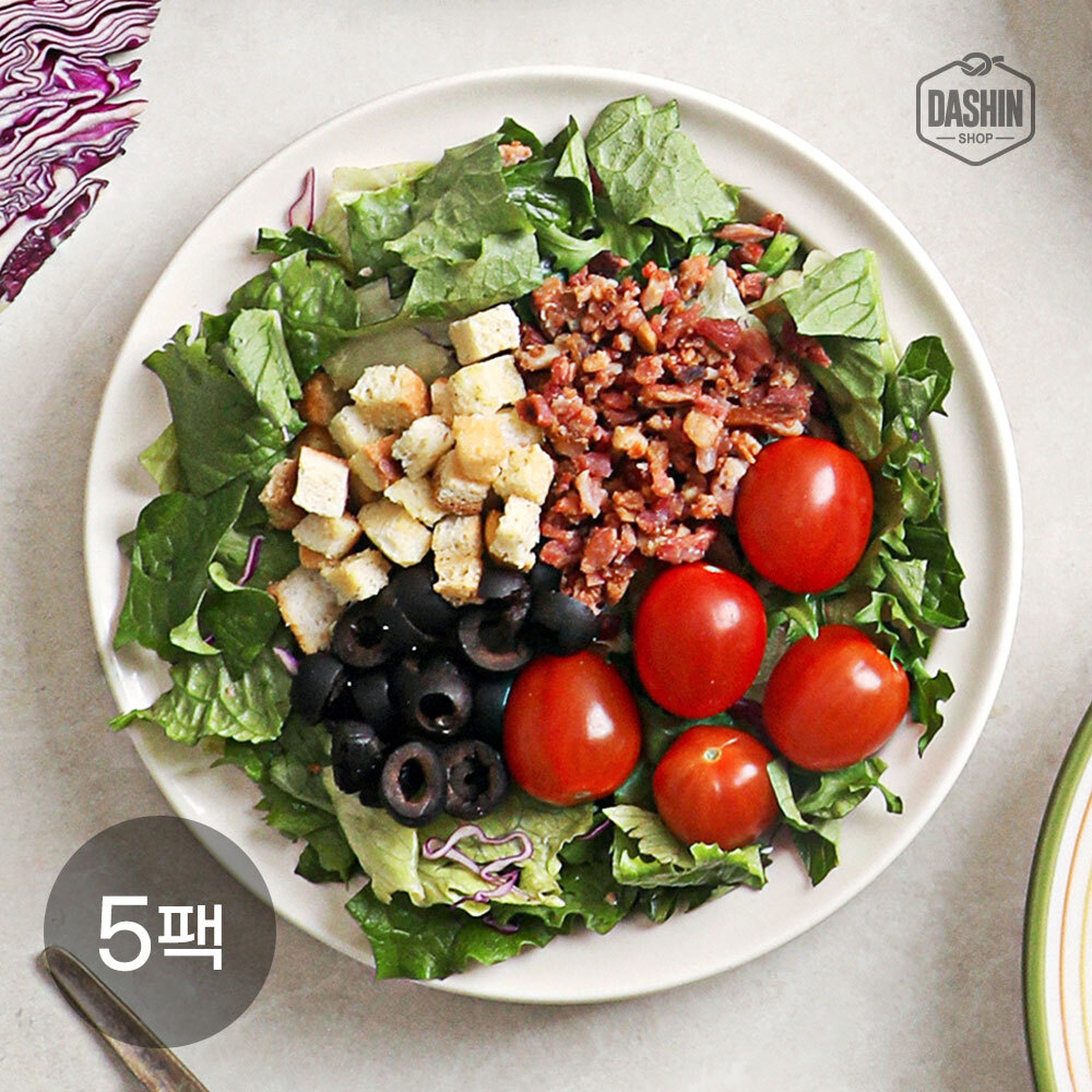 [㈜퍼니엠]다신샵 [다신샵] 탄단지 균형잡힌 프리미엄 도시락 한스푼샐러드 시저 5팩 (무료배송)