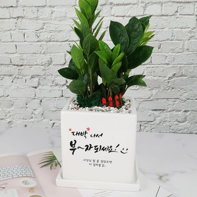 금전수 : 롯데ON 금전수 : 롯데On