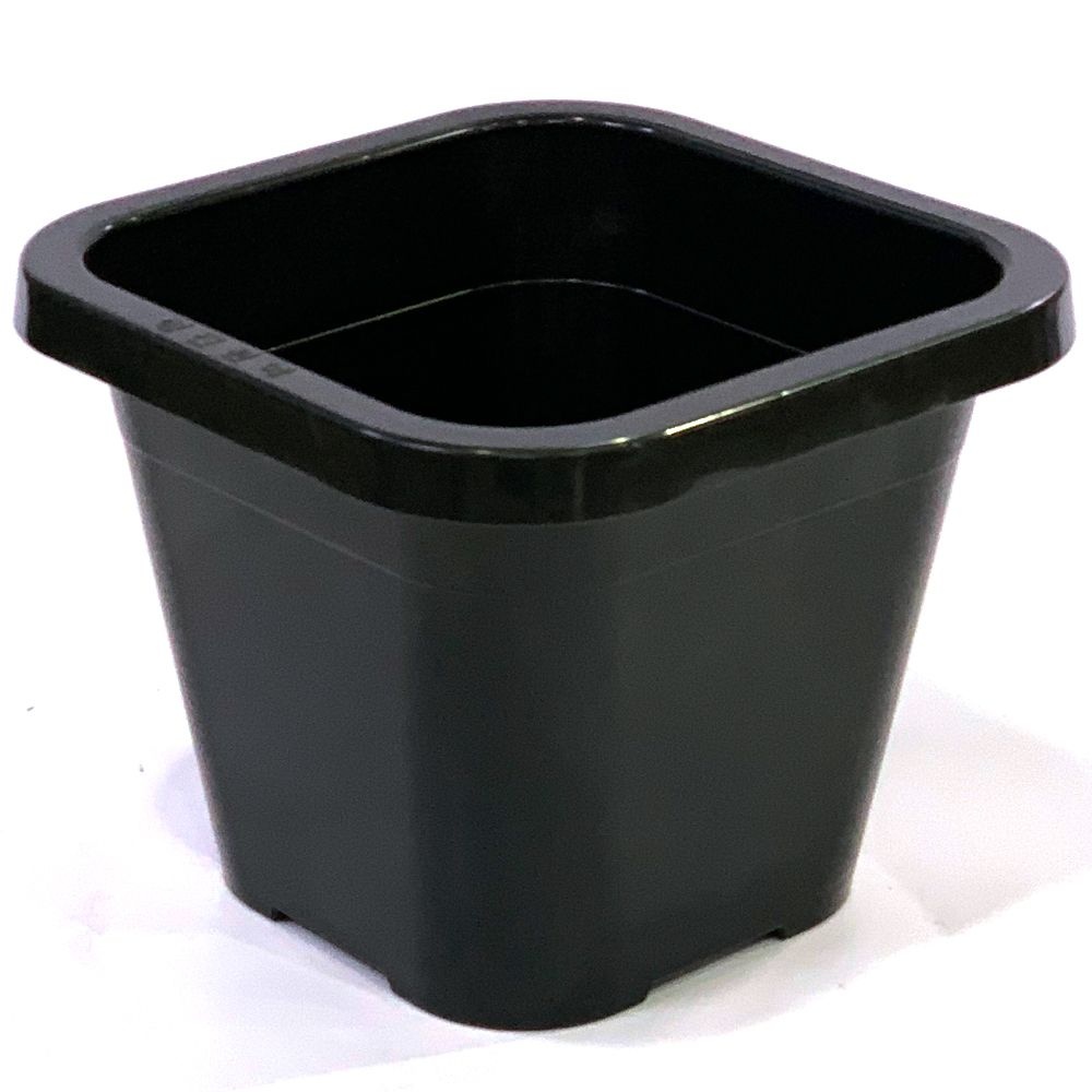 케이-미디어플러스 왁스콜렉션 사각 수생분 2호 수경재배 수반 플라스틱화분