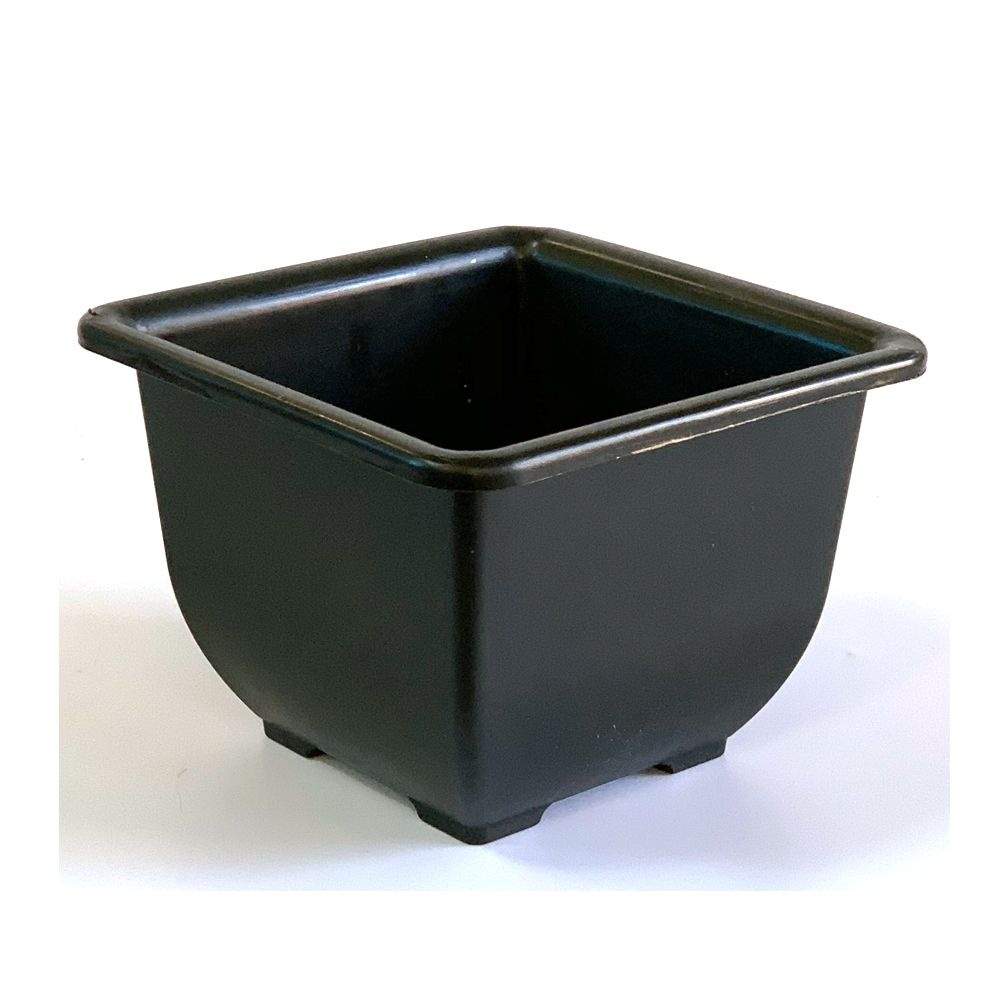 케이-미디어플러스 왁스콜렉션 사각 수생분 1호 수경재배 수반 플라스틱화분