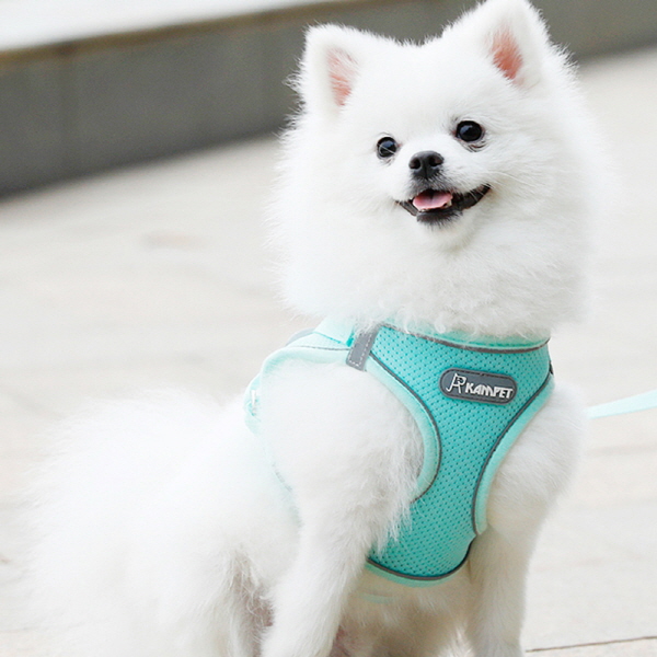 [해외] [아이니샵] 강아지 리드줄 여름 자외선 차단 쿨조끼