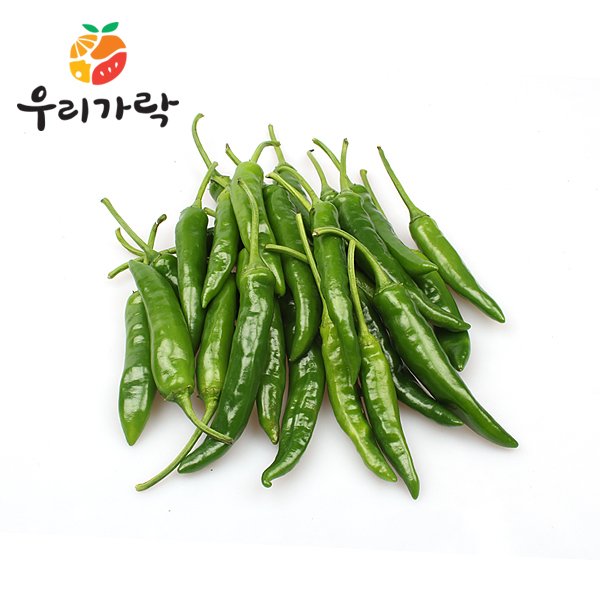 청양고추 500g