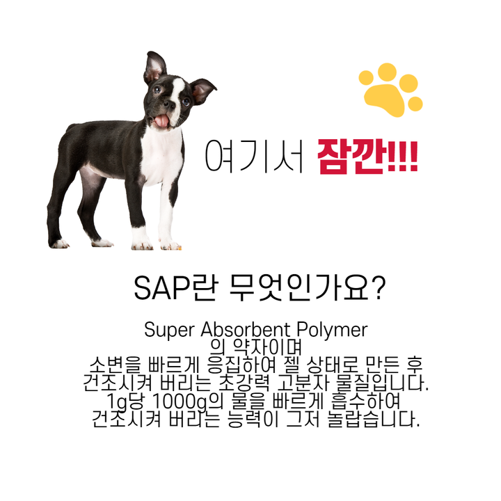 개에 빠른 무엇입니까