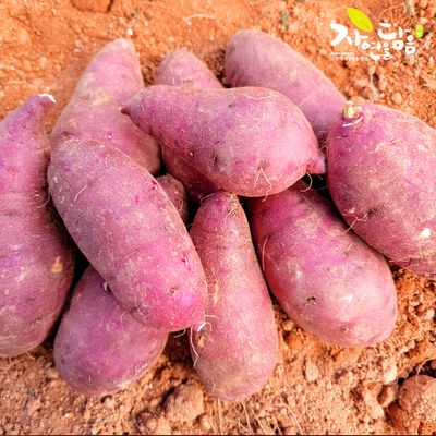 밤고구마10kg : 롯데ON 밤고구마10Kg : 롯데On