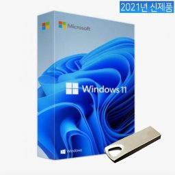 Usb 윈도우 설치 11 Windows 11