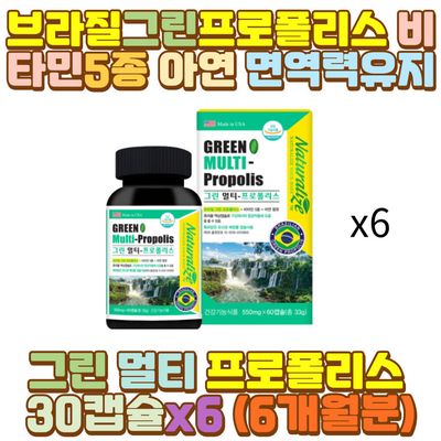 브라질그린프로폴리스 : 롯데ON 브라질그린프로폴리스 : 롯데On